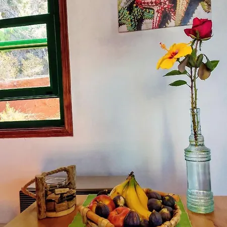 Casa Flor Azul Holiday home *