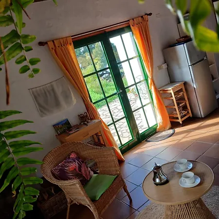 Casa Flor Azul *